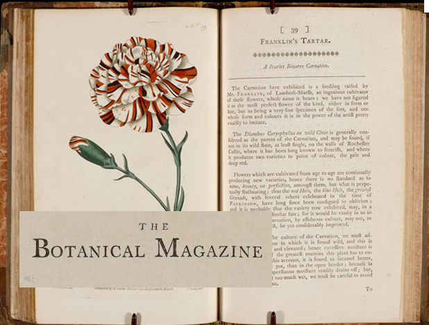 Botanical Magazine.jpg