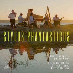 Stylus phantasticus FR742