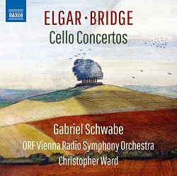 Elgar Bridge cello 8574320