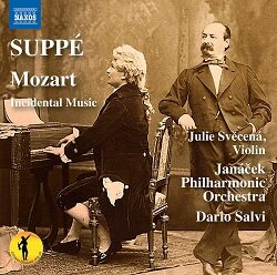 Suppe Mozart 8574383