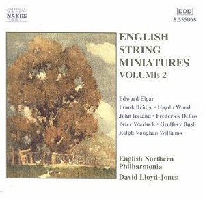 English String Miniatures 