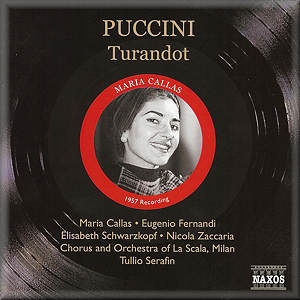 Puccini Turandot Naxos 8 111334 Rmo Classical Cd Reviews February 2009 Musicweb International Turandot (highlights) / karajan, domingo is a 1982 polydor recording under the direction of herbert von karajan and starring placido domingo in the role as il principe ignoto. musicweb international