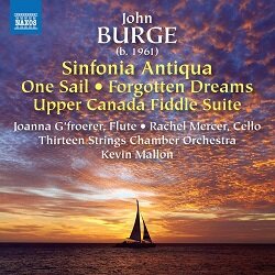 Burge sinfonia 8579073