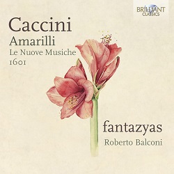 Caccini amarilli 96254