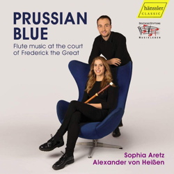 Prussian blue HC22024