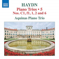 Haydn trios5 8574361