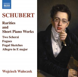 Schubert piano 8574135
