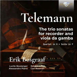 Telemann recorder 96393