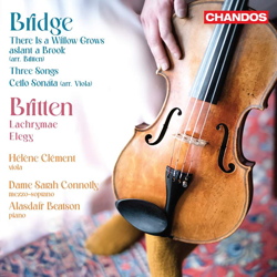 Bridge viola CHAN20247